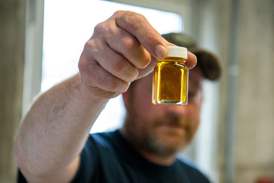 Maple 101: Maple Syrup Off-Flavors Explained (and How Runamok Selects the Best)