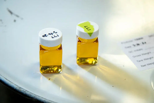 Maple Syrup 101: What Makes Maple Syrup Organic?