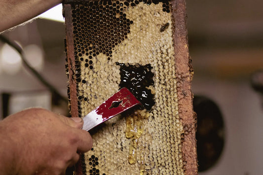 Honey 101: Why Does Honey Crystallize?