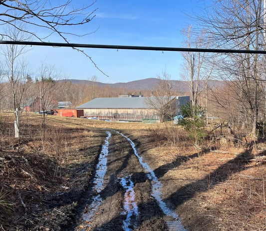 Maple 101: How do we know when sugaring season is over?