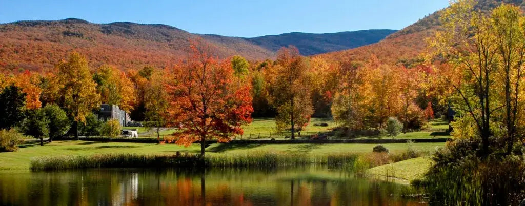 Happy Earth Day: Sustainability Spotlight