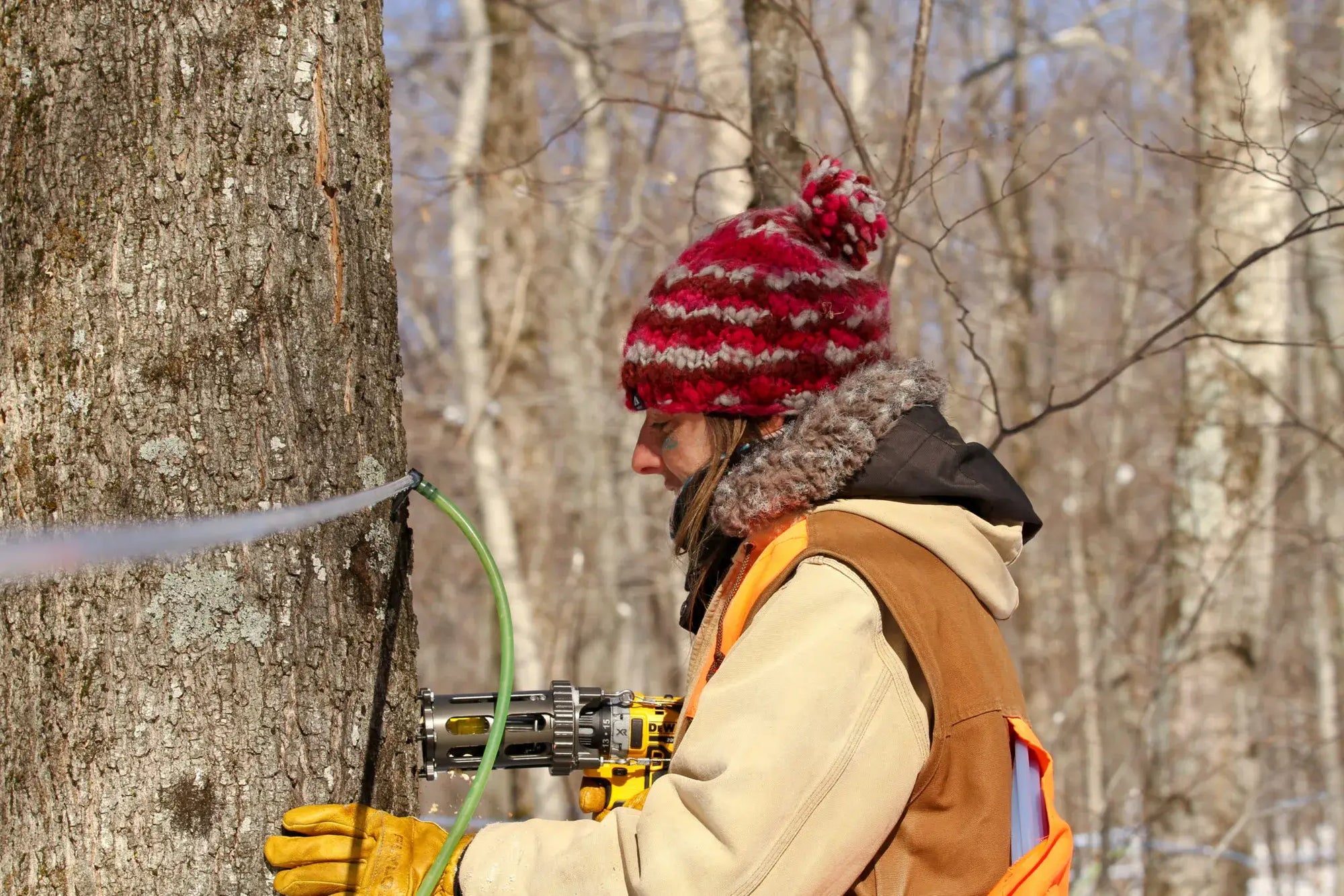 News from the Sugarbush: January 2022 Updates