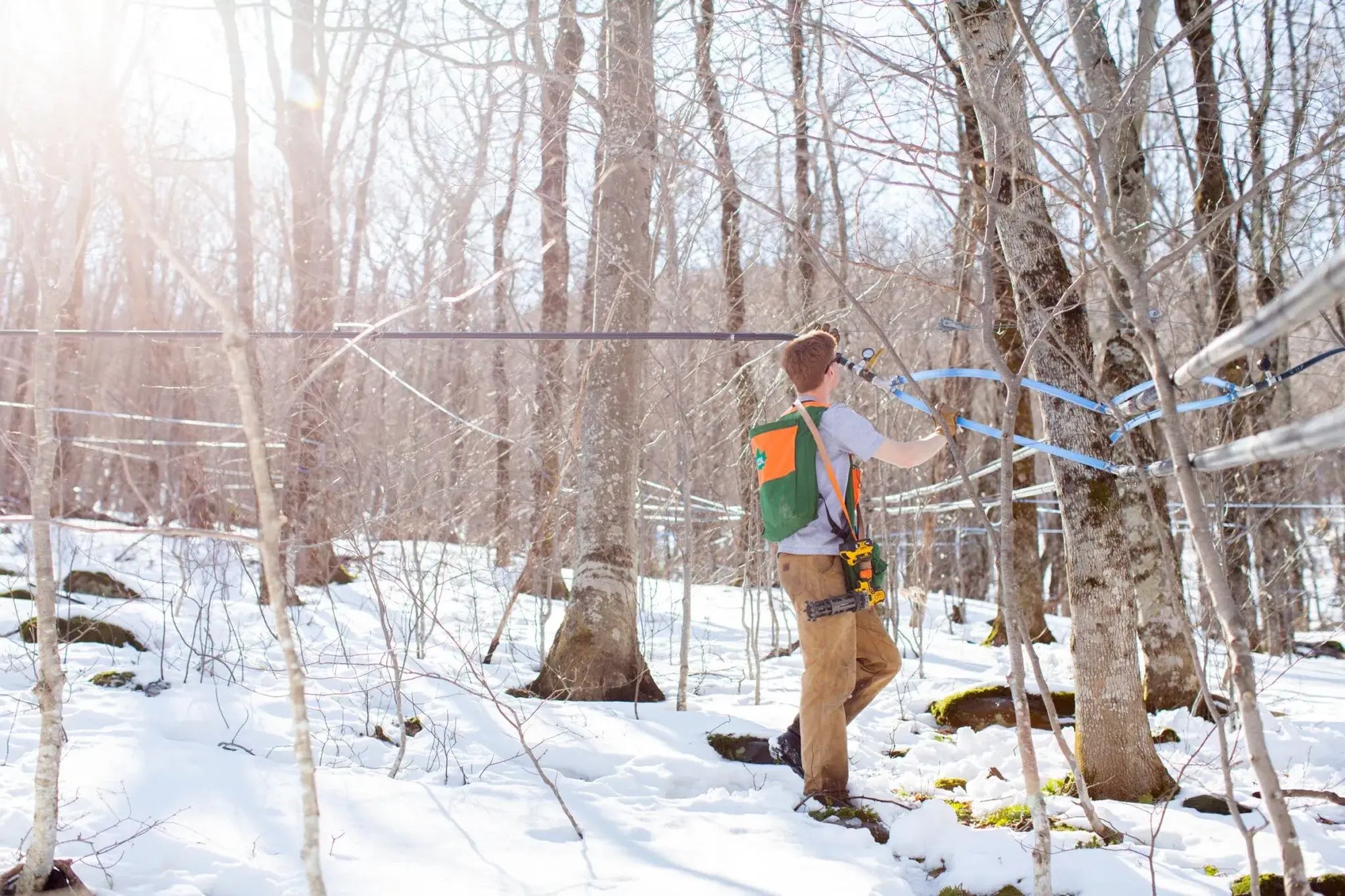 News from the Sugarbush: 2022 Season Wrap Up