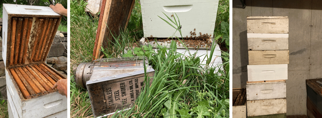 hive maintenance grid 2