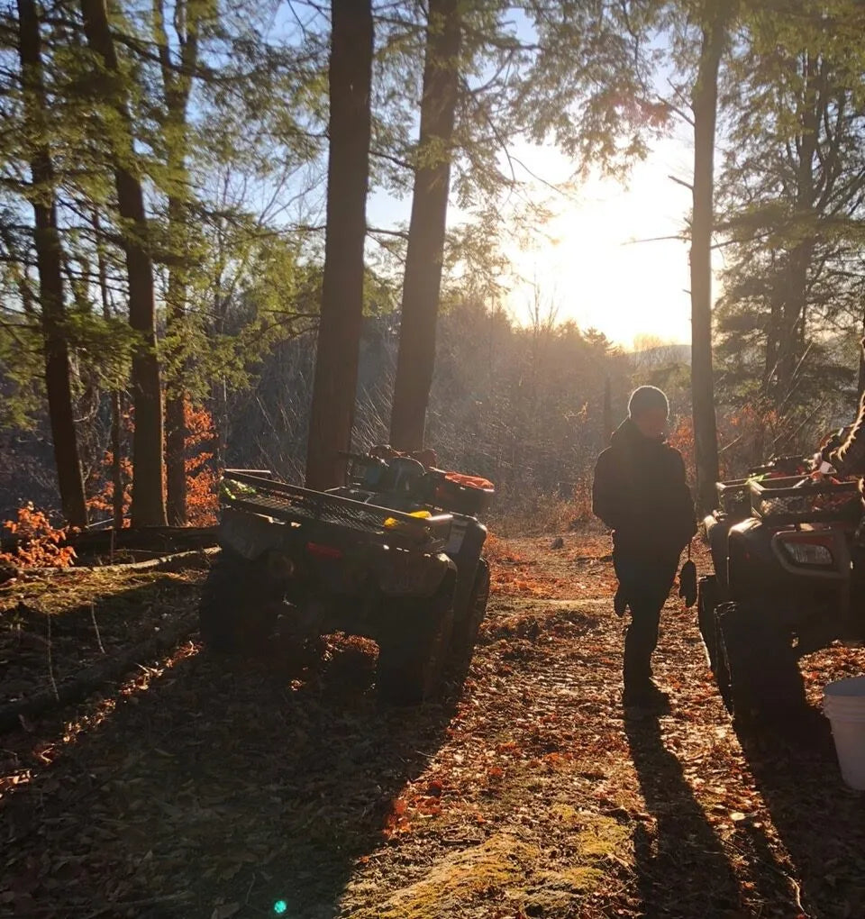 Sustainability Spotlight: Bird-Friendly Maple Project