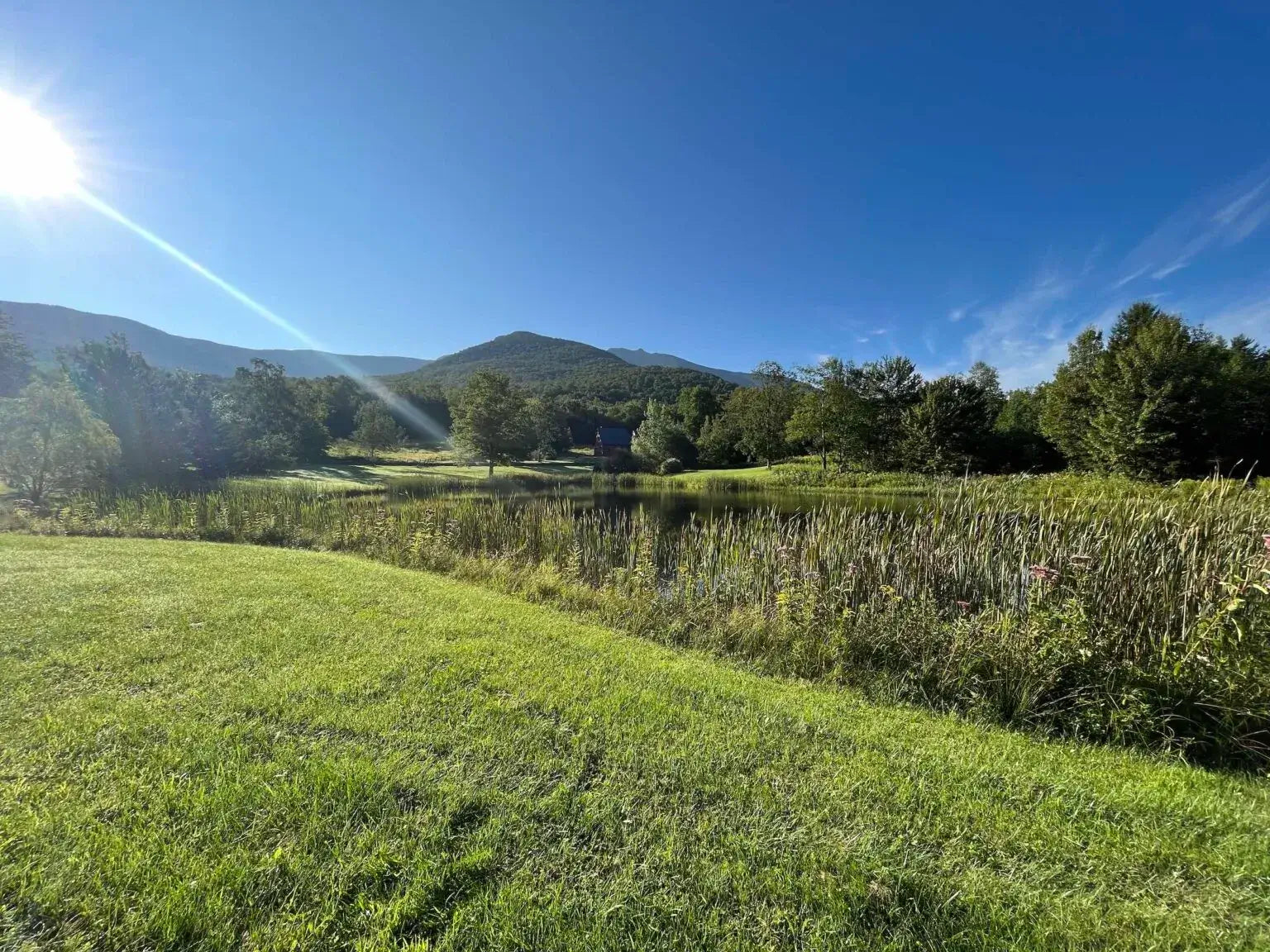 Year in Review: A look back at 2023