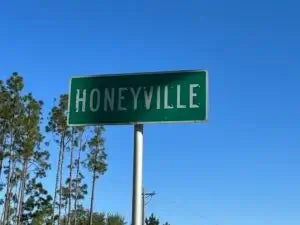 Is Sugar in Trouble?