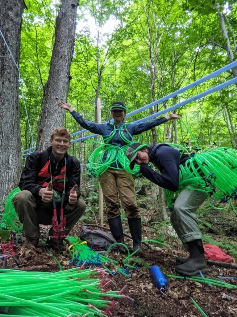 News from the Sugarbush: Summer 2021 in the Sugarbush