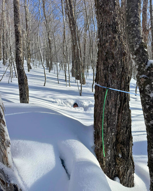 2026 Sugaring Season Updates