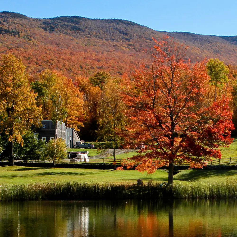 Runamok Maple Syrup - Sustainability & Social Responsibility