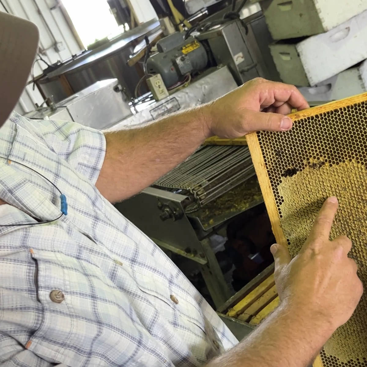 Runamok Maple Syrup - partner Producer - 5