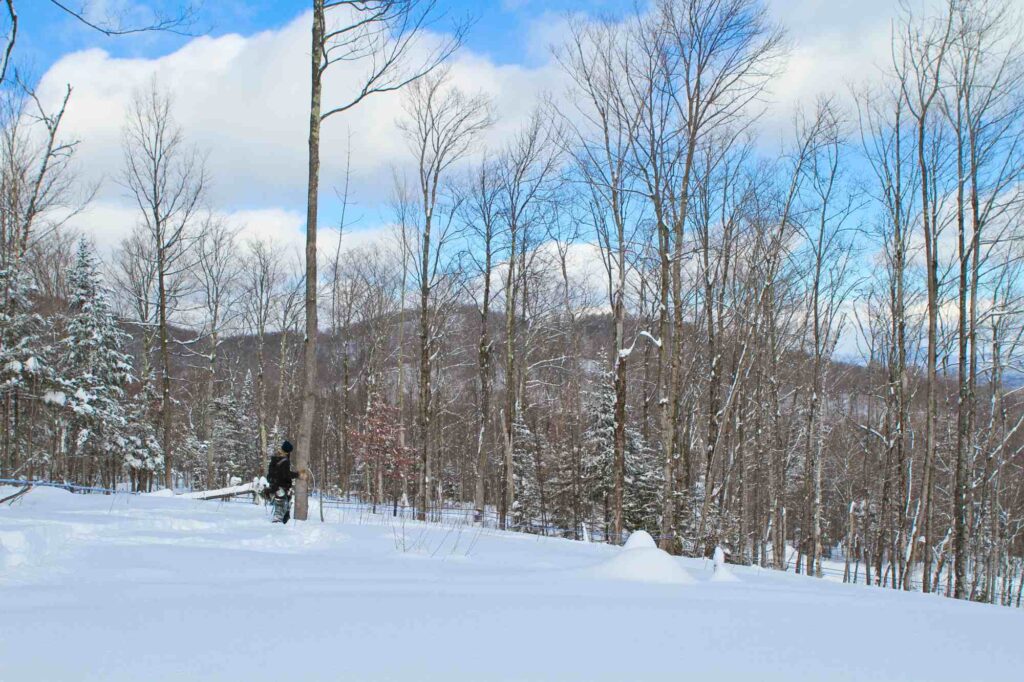 Sugaring in Vermont