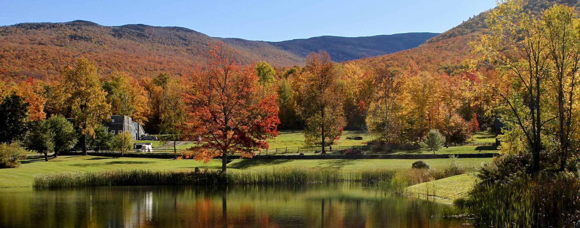 Runamok Maple Vermont view