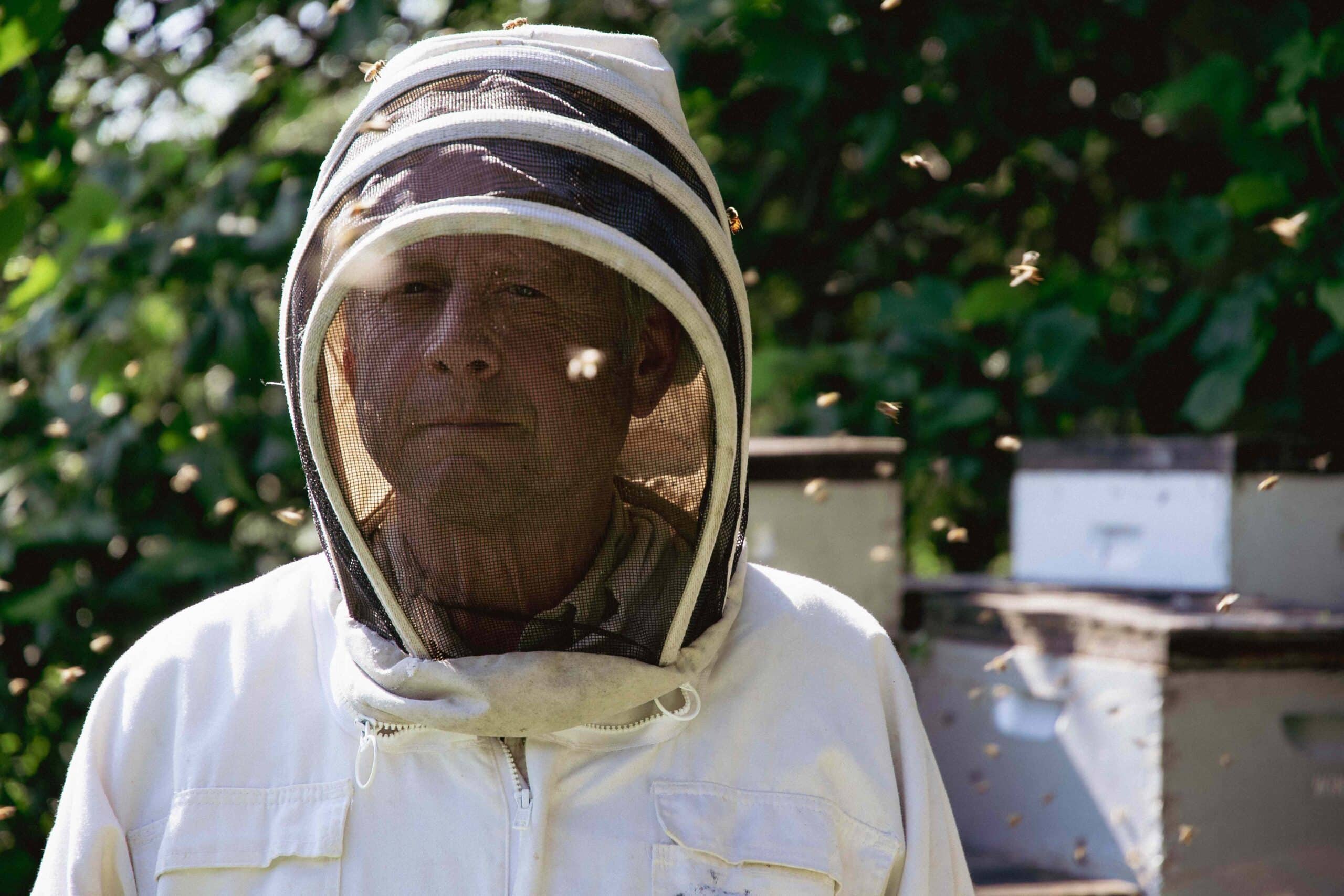 Meet our bee guide: Todd Hardie - Runamok
