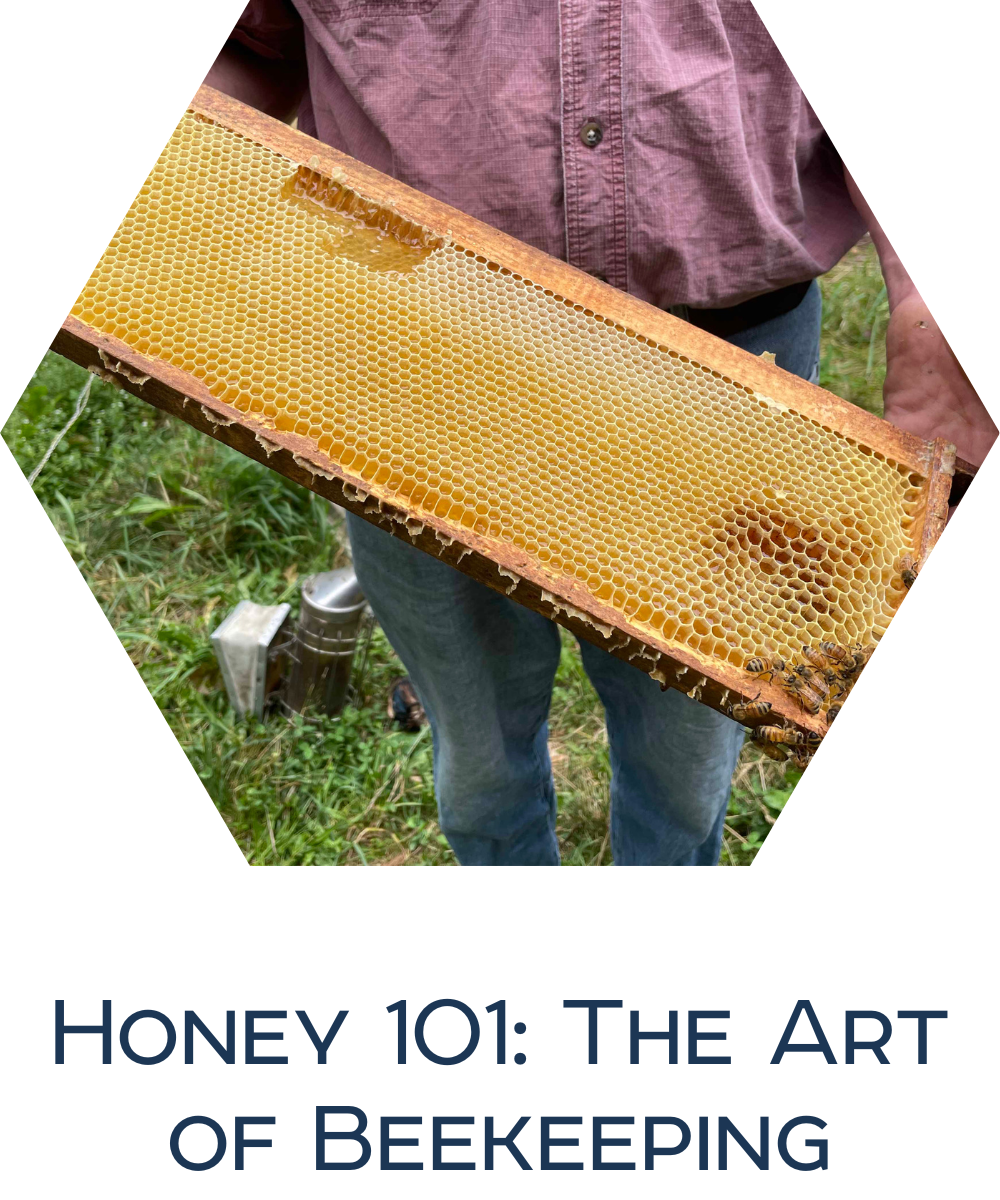 Honey 101: The Art of Beekeeping