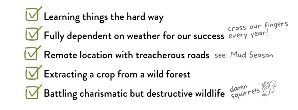 Learning things the hard way - check; Fully dependent on weather for our success - cross our fingers every year! ; Remote location with treacherous roads - see: mud season; Extracting a crop from a wild forest - check; Battling charismatic but destructive wildlife - damn squirrels
