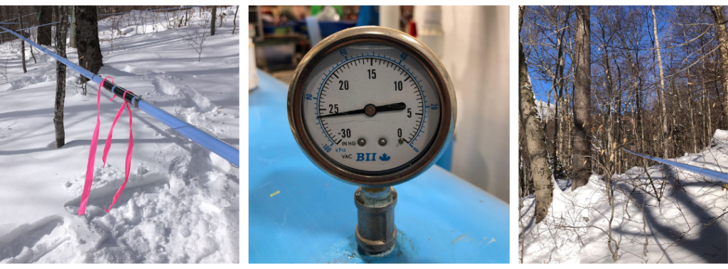 February Sugarbush update photos: repaired tap lines, vacuum pressure gauge, woods photo
