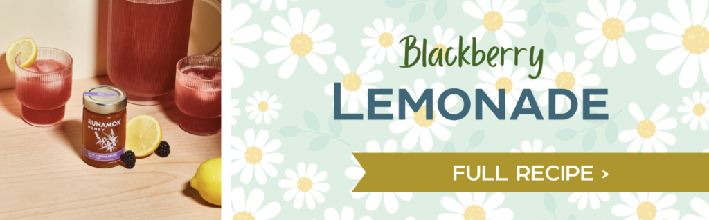 Blackberry Lemonade - Full Recipe>