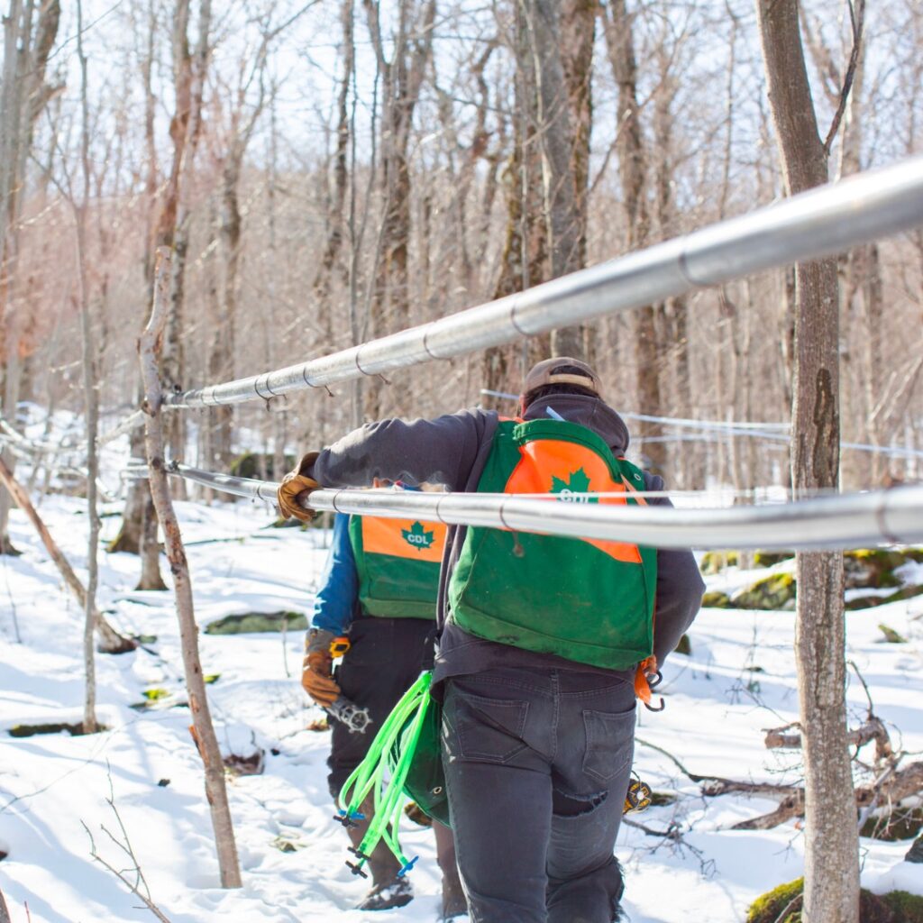 Sugaring Season 1: the crew checking sap lines in the woods 