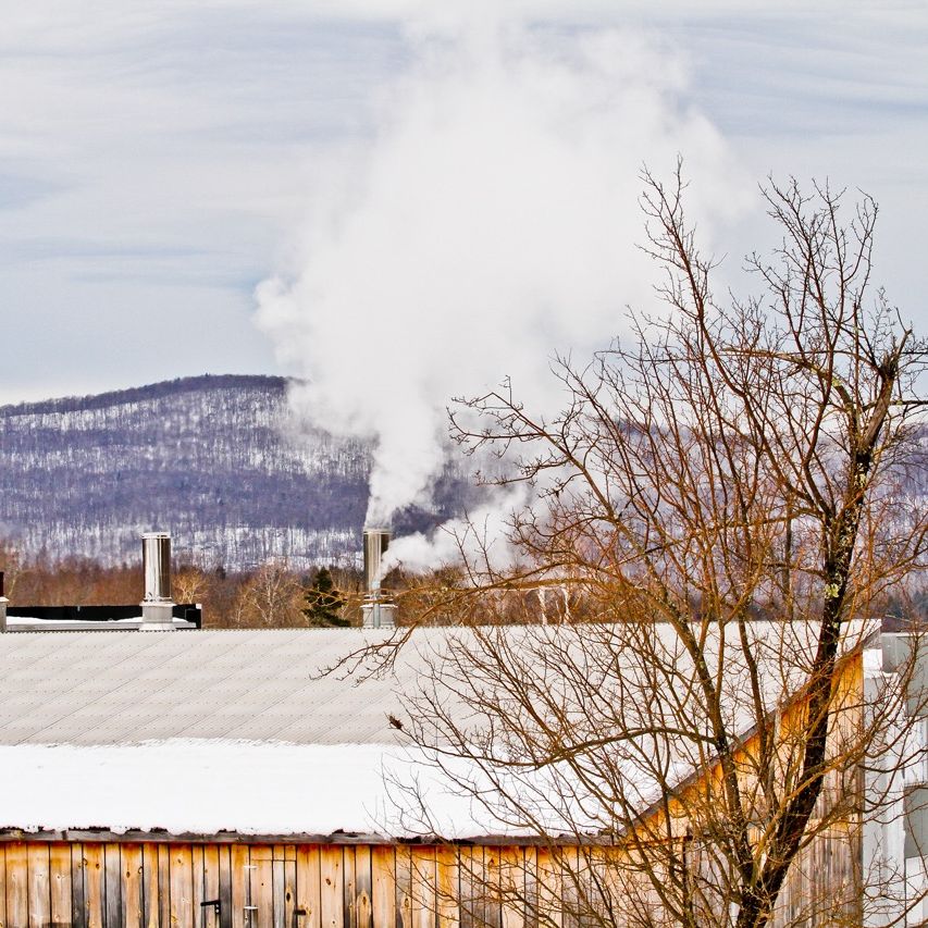 Sugaring Season 4: steam coming from the sugarhouse chimney