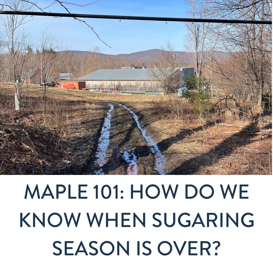 Maple 101 How do we know when sugaring season is over?