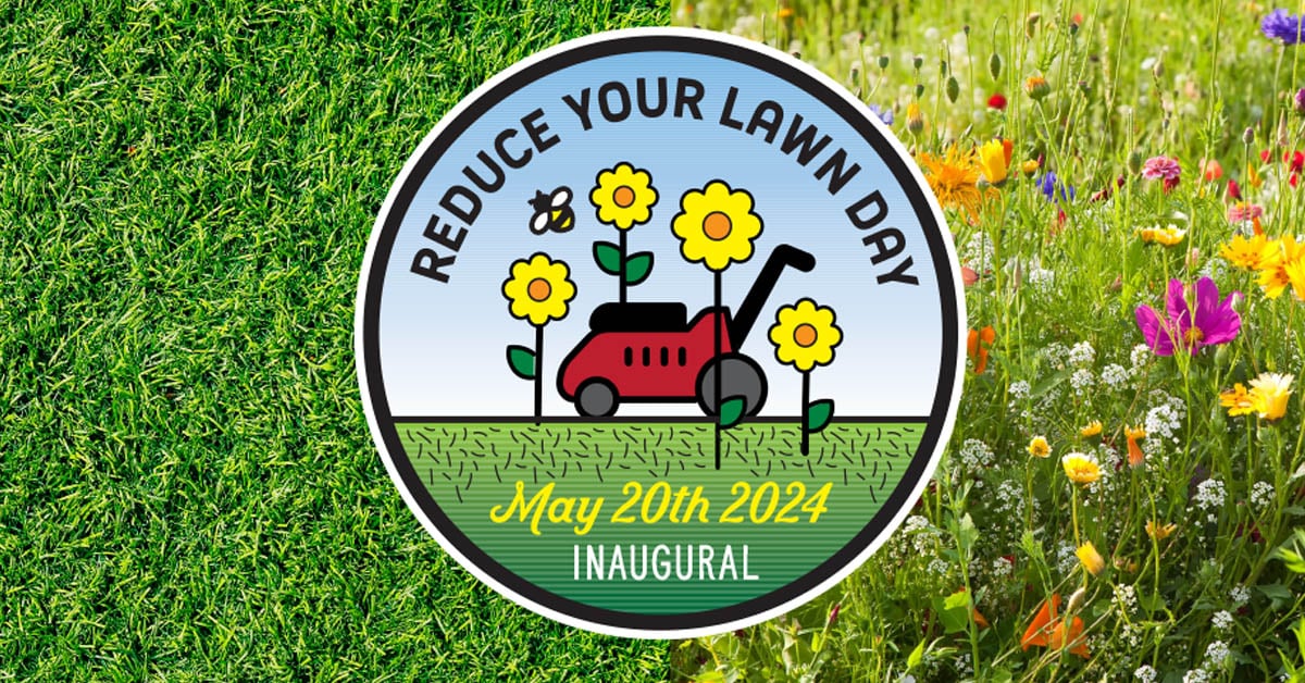 Reduce Your Lawn Day announcement LinkedIn