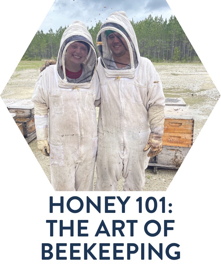 Honey 101: the art of beekeeping