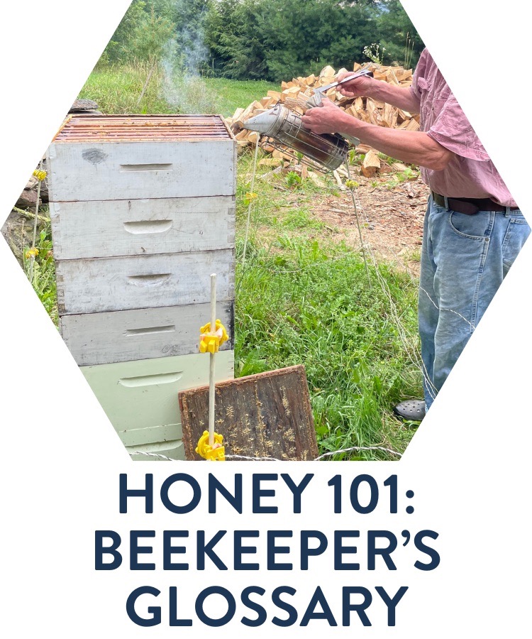 Honey 101: Beekeeper's Glossary