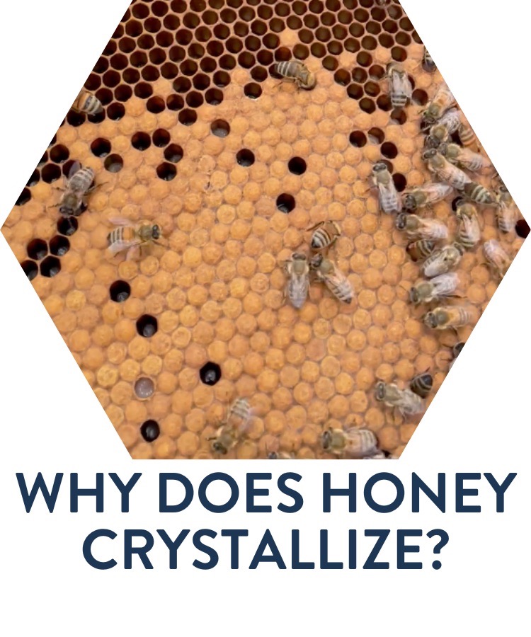 Why does honey crystallize