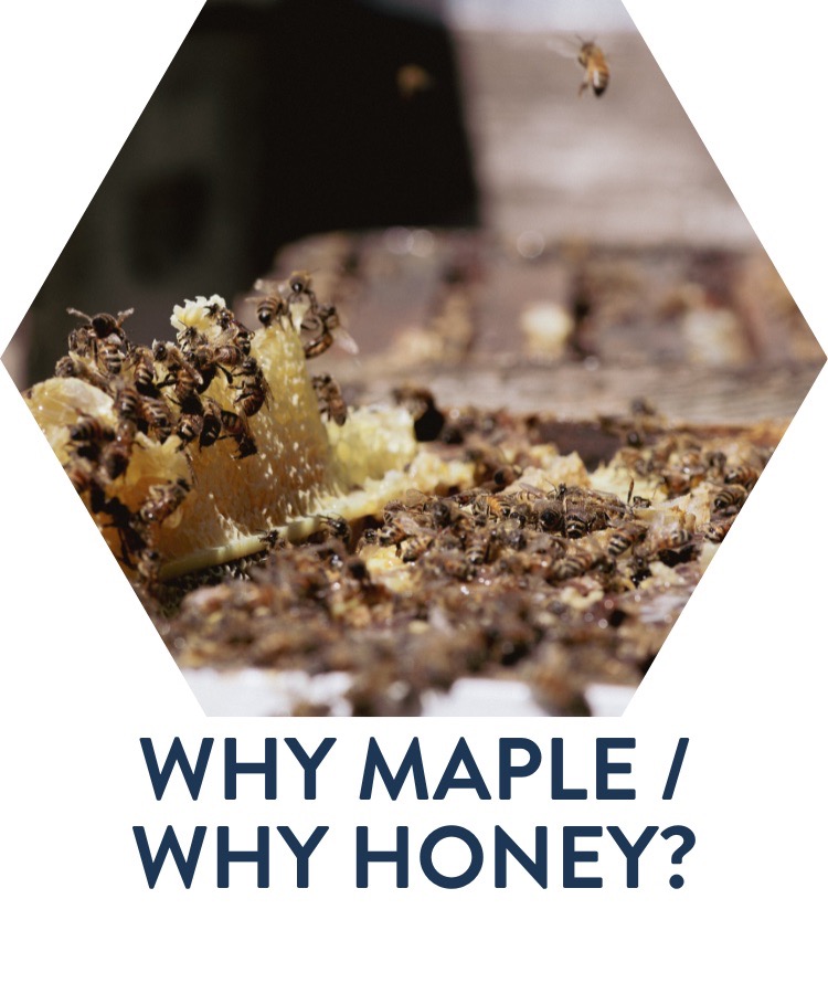 Why Maple/Why Honey?