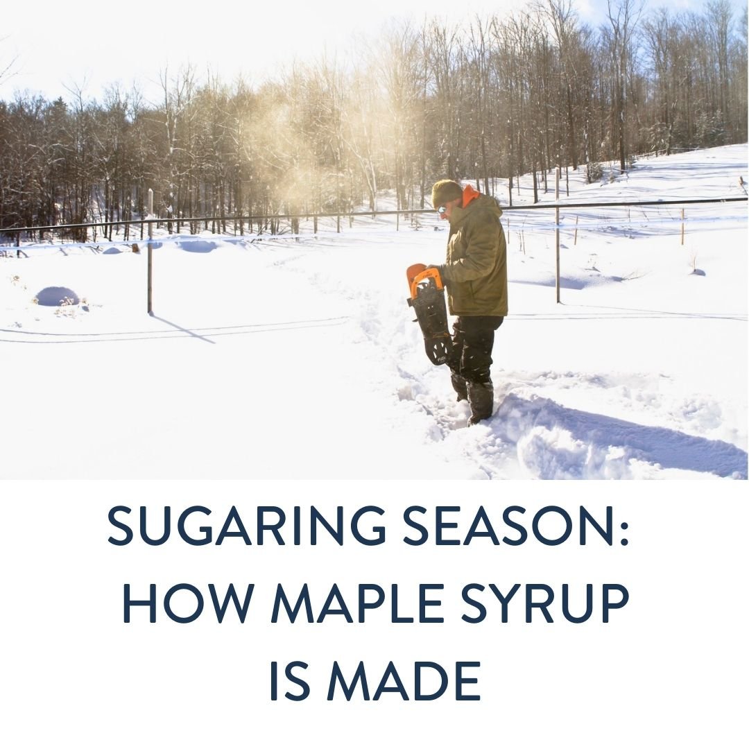 Sugaring Season: How Maple Syrup is Made