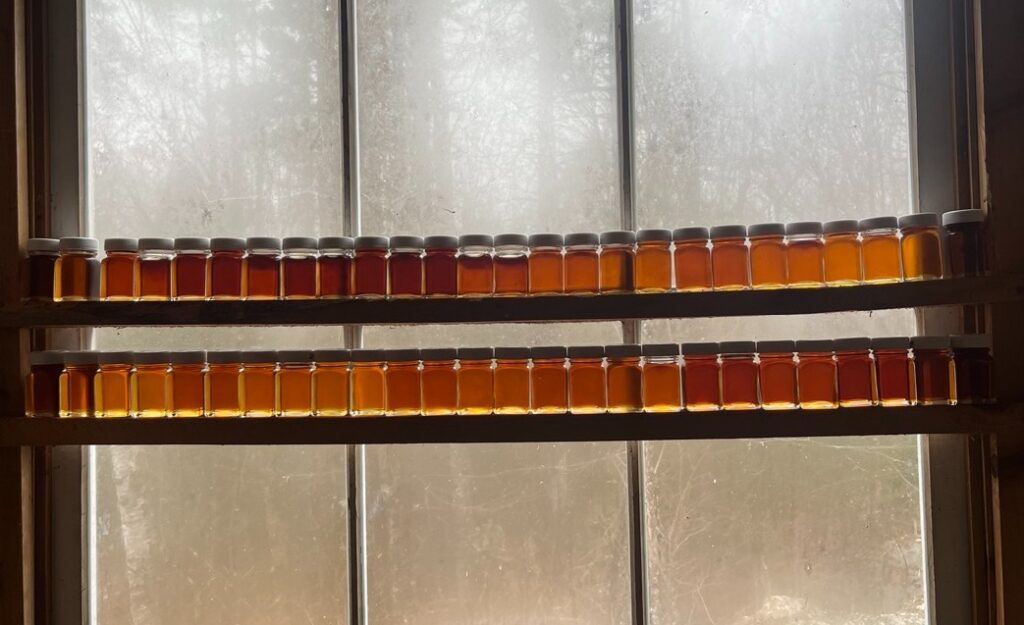 maple grades in window